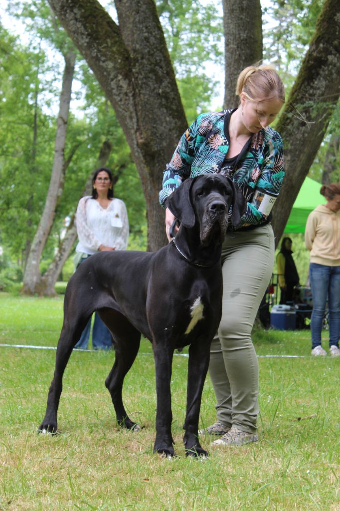 Uliah Des Géants Du Nivernais